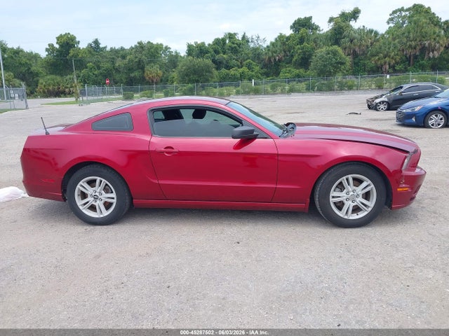 Ford Mustang V6