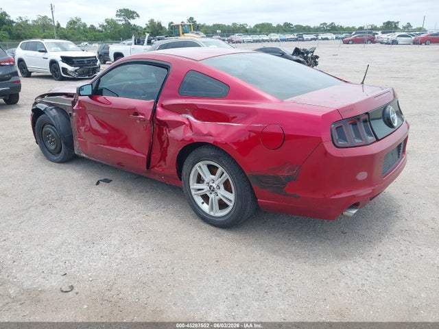 Ford Mustang V6