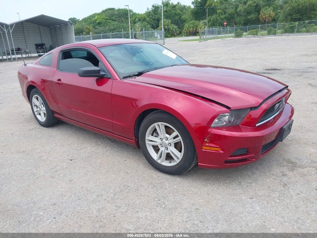 Salvage Ford Mustang Image