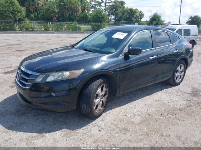 Honda Accord Ex-l