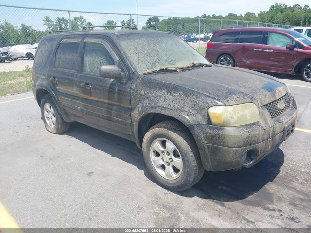 Salvage Ford Escape Image