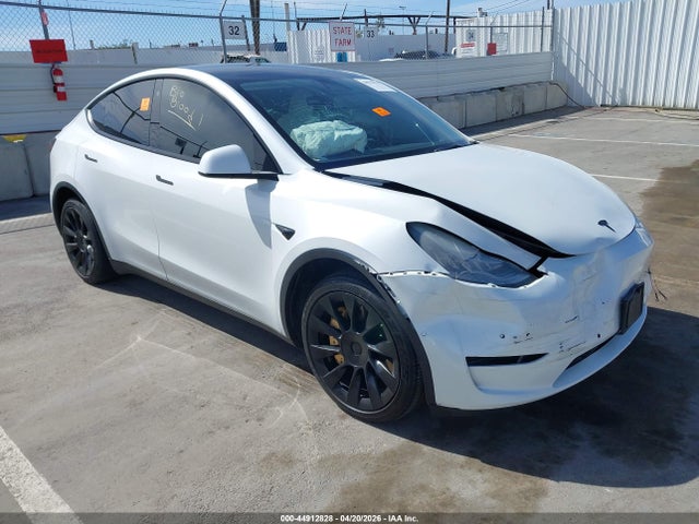 Salvage Tesla Model Y Image