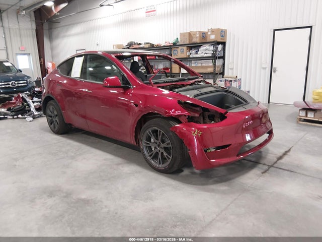 Salvage Tesla Model Y Image