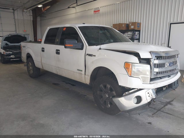 Salvage Ford F-150 Image