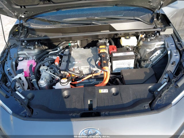 Toyota Bz Xle Plus