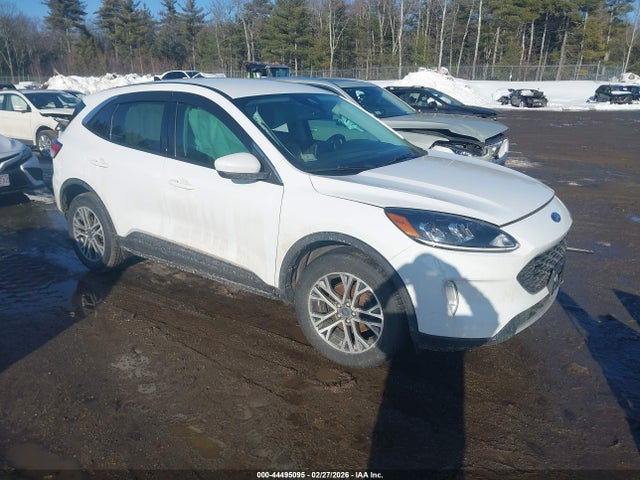 Salvage Ford Escape Image