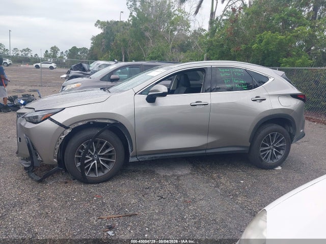 Lexus NX Premium