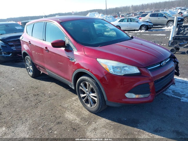 Salvage Ford Escape Image
