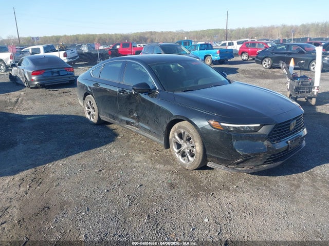 Salvage Honda Accord Image