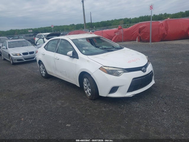 Salvage Toyota Corolla Image