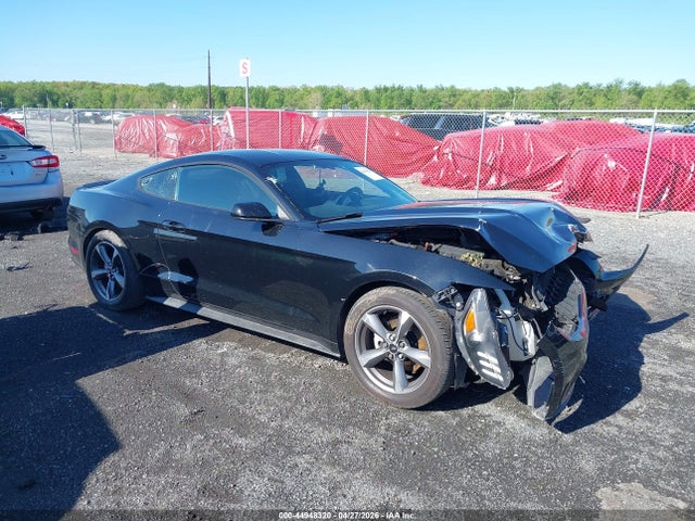 Salvage Ford Mustang Image