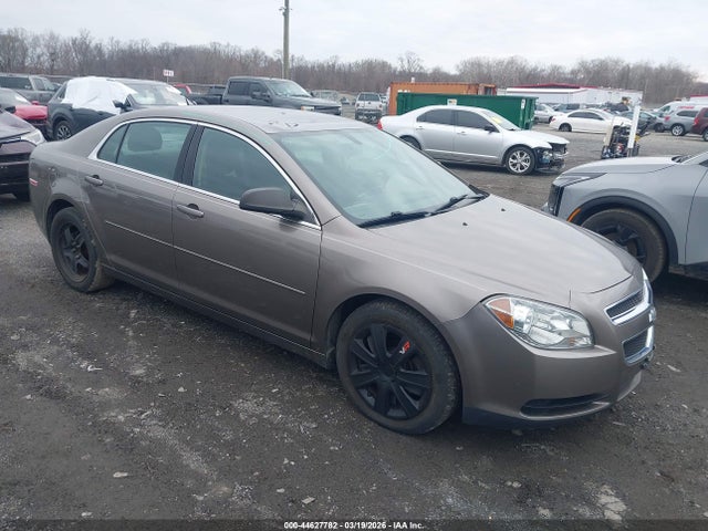 Salvage Chevrolet Malibu Image