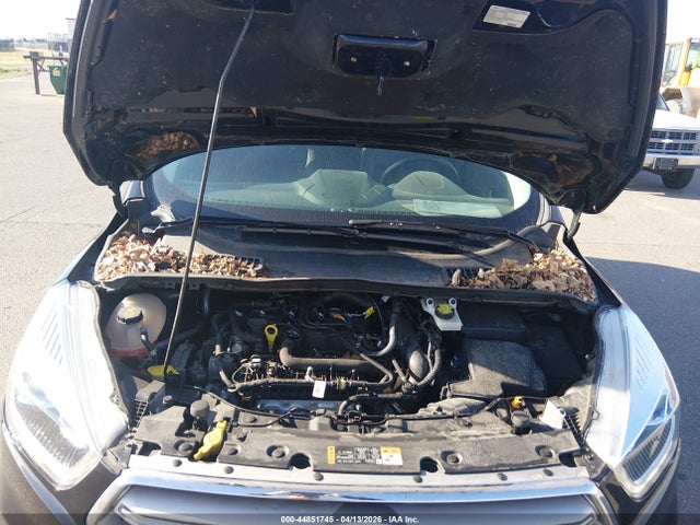 Ford Escape Sel