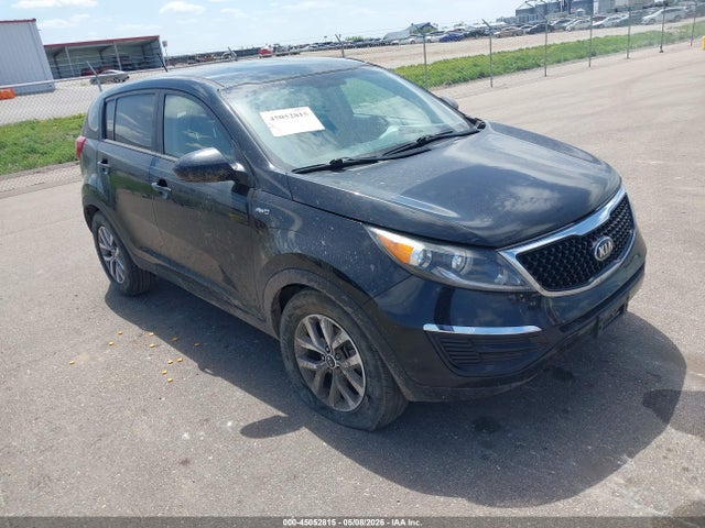 Salvage Kia Sportage Image