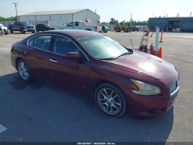 Salvage Nissan Maxima Image