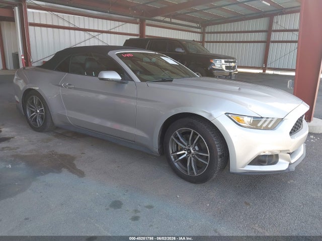 Salvage Ford Mustang Image