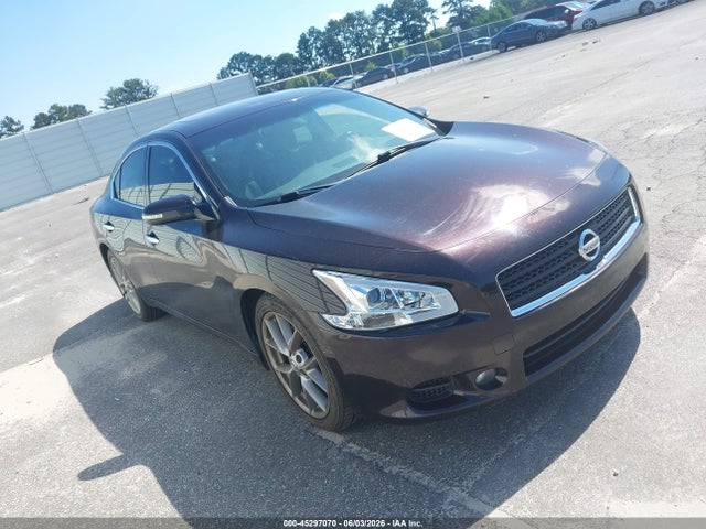 Salvage Nissan Maxima Image
