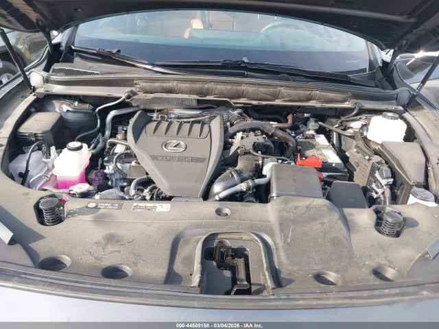 Lexus RX Premium Plus