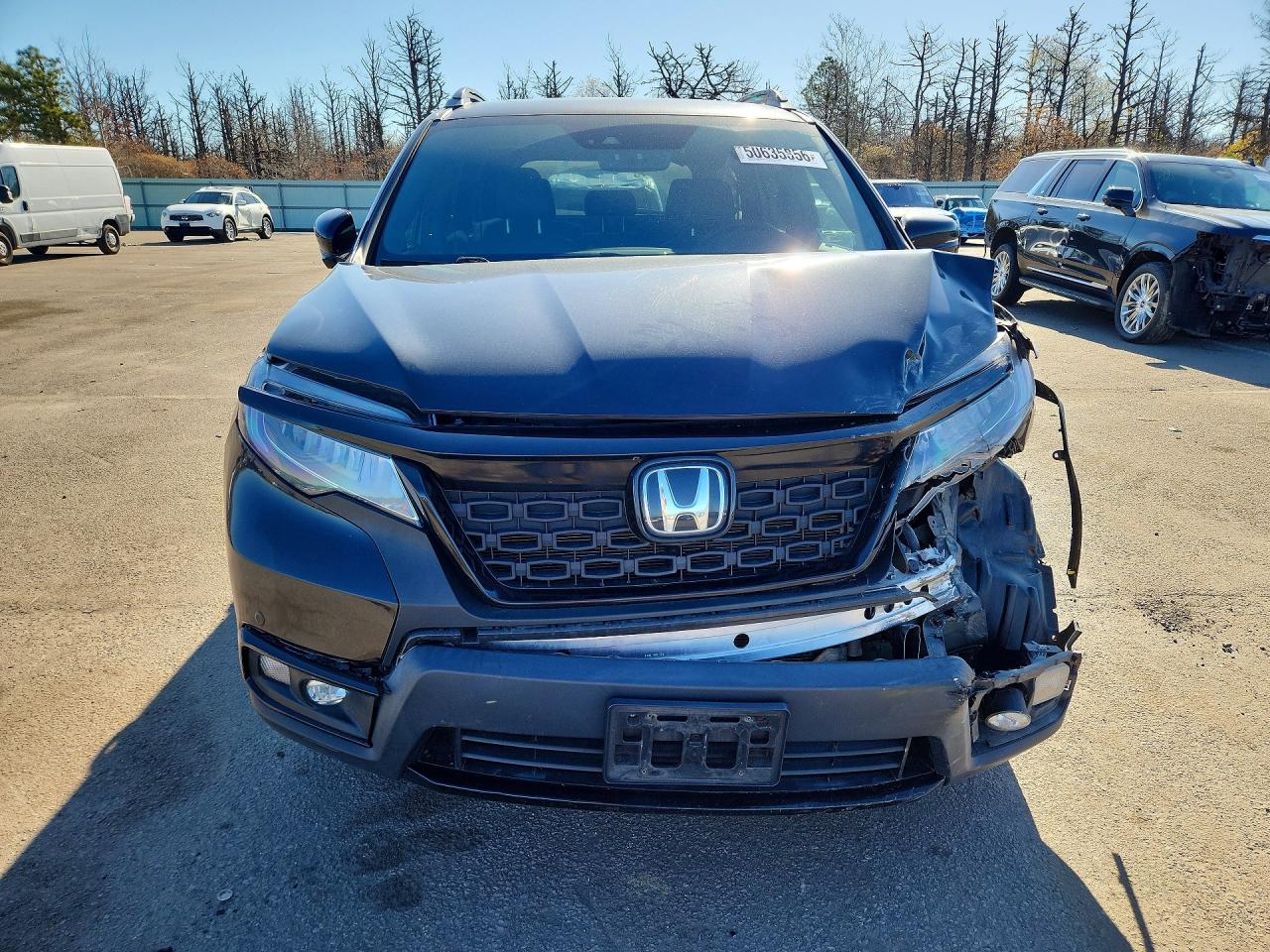 Honda Passport Elite