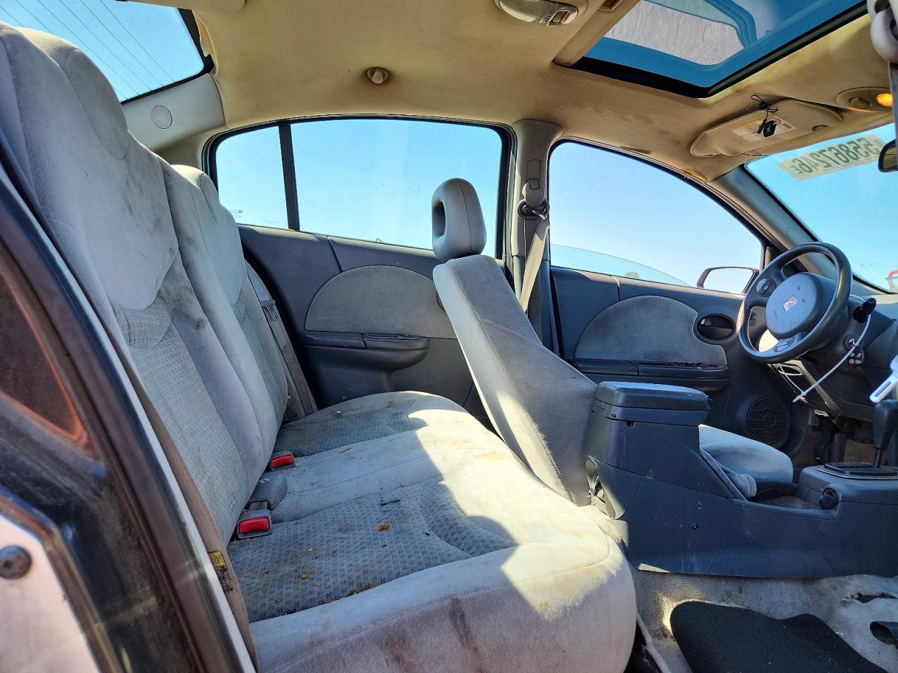 Saturn Ion