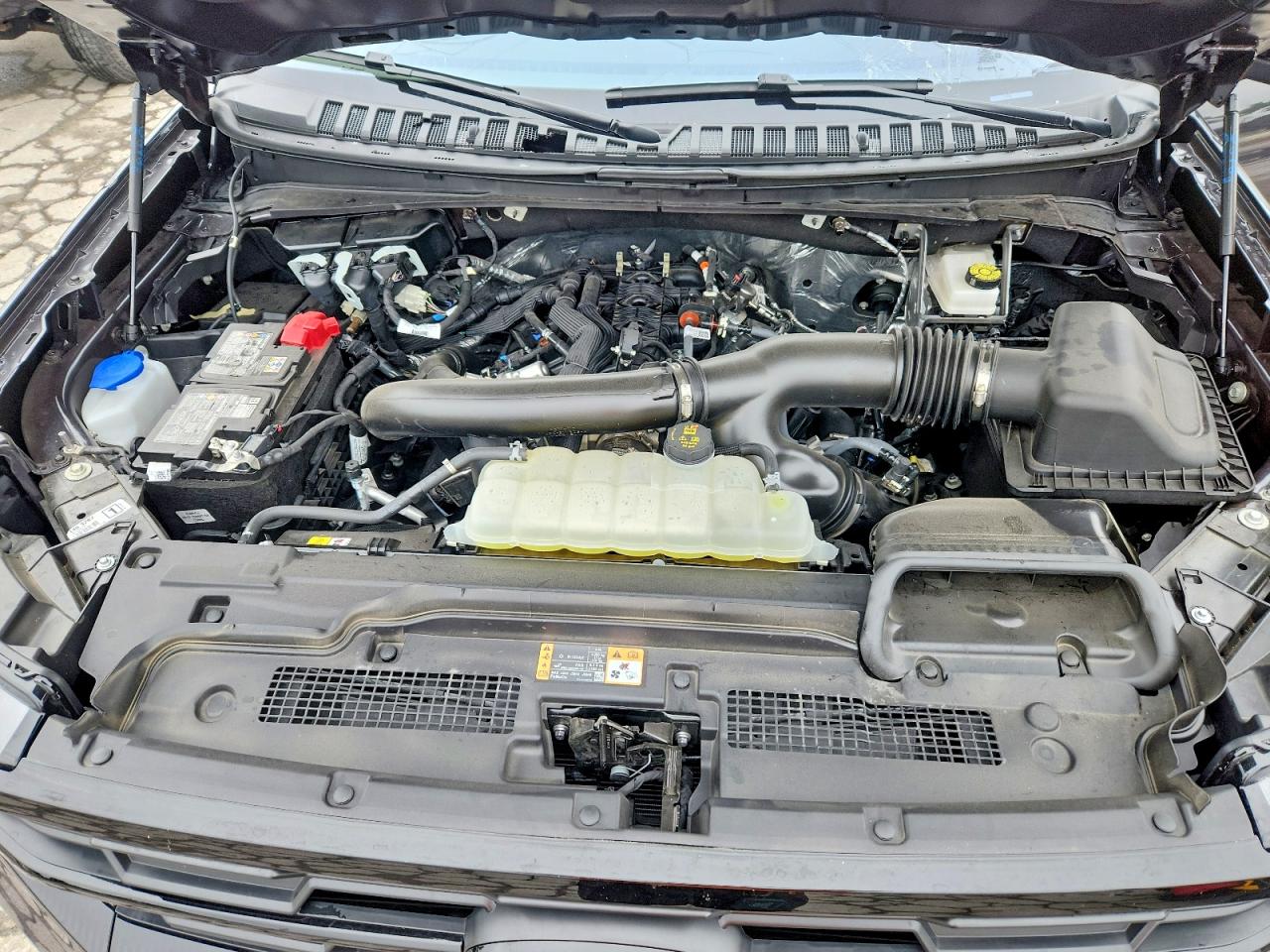 Ford Expedition Active