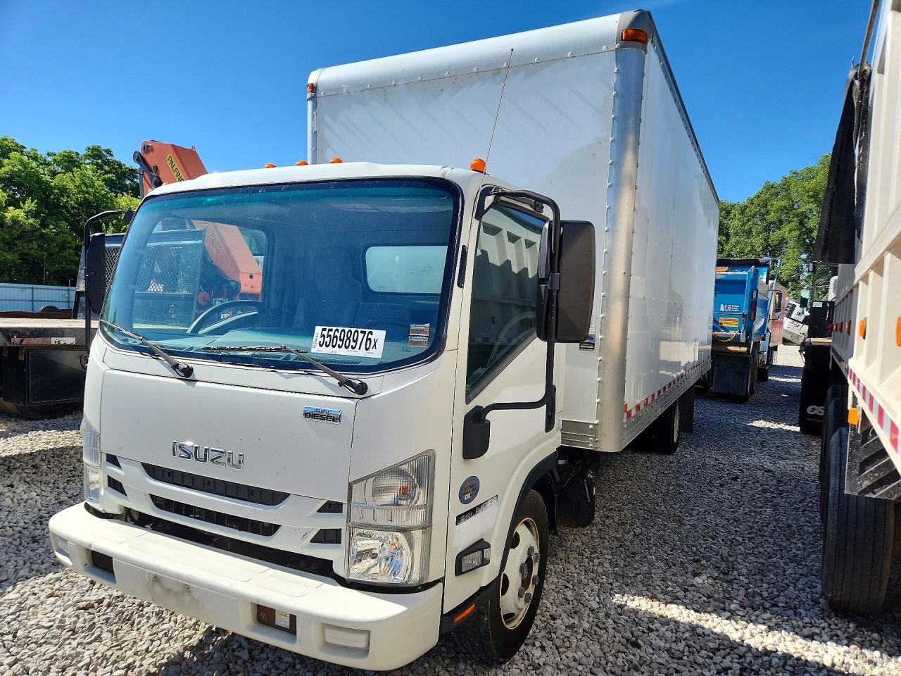 Salvage Isuzu Nqr Image