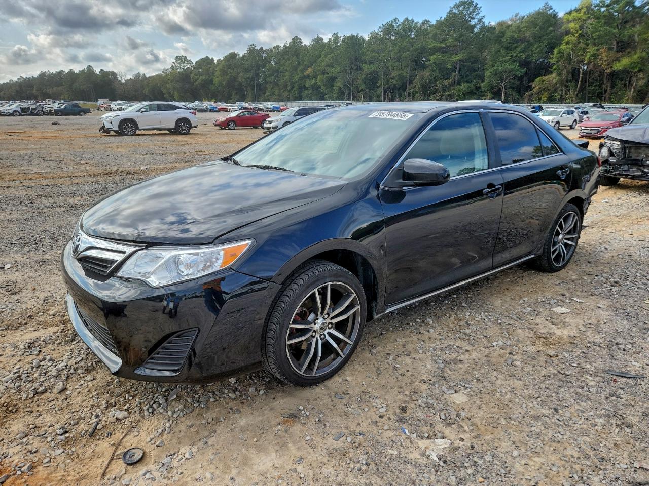 Salvage Toyota Camry Image