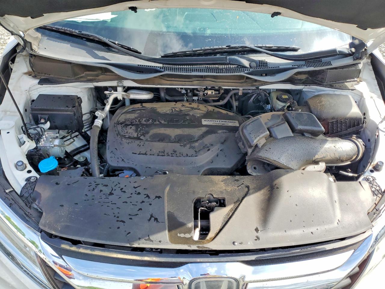 Honda Odyssey Elite