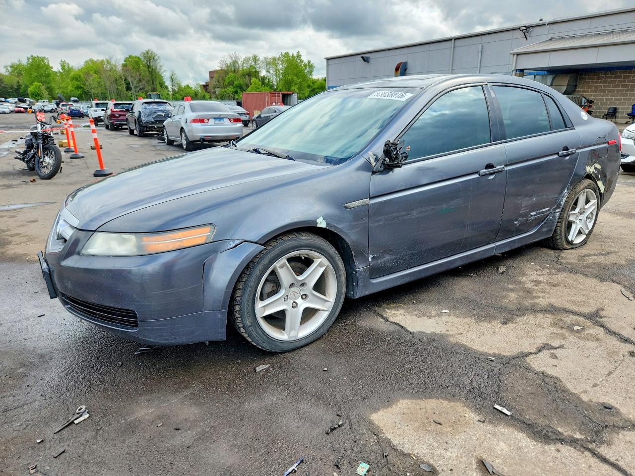 Salvage Acura TL Image