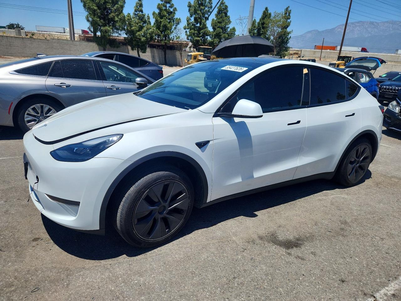 Salvage Tesla Model Y Image