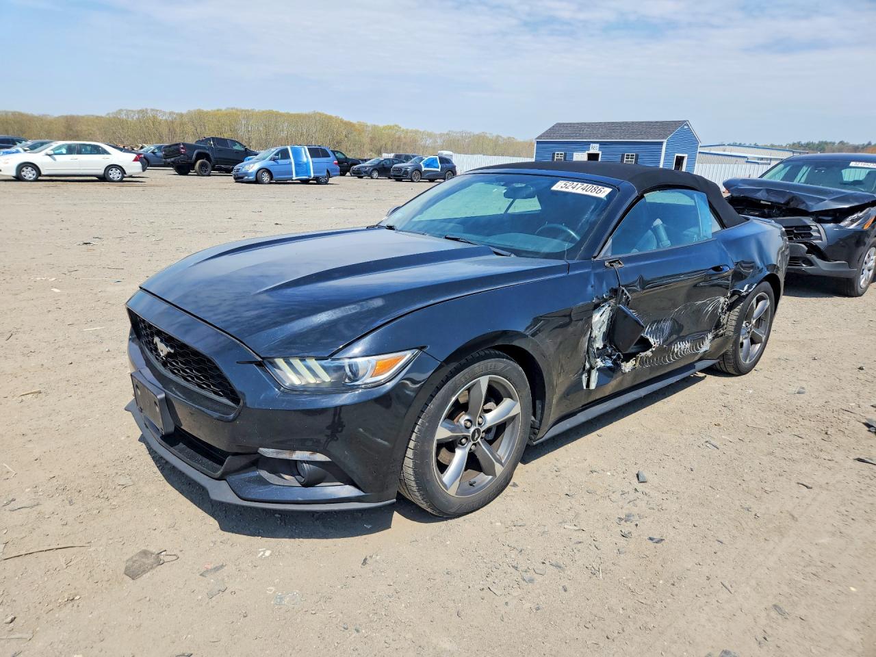 Salvage Ford Mustang Image