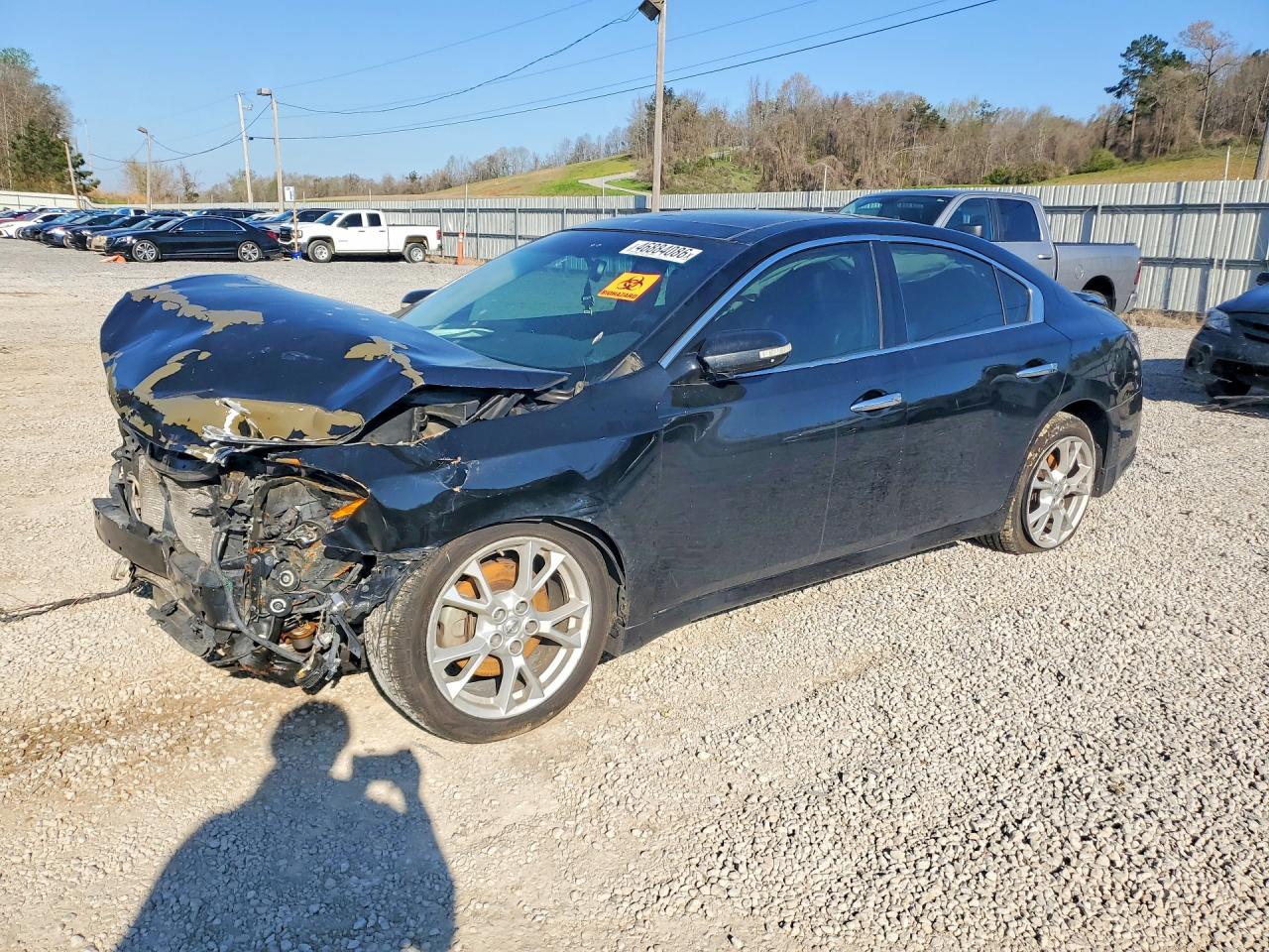 Salvage Nissan Maxima Image