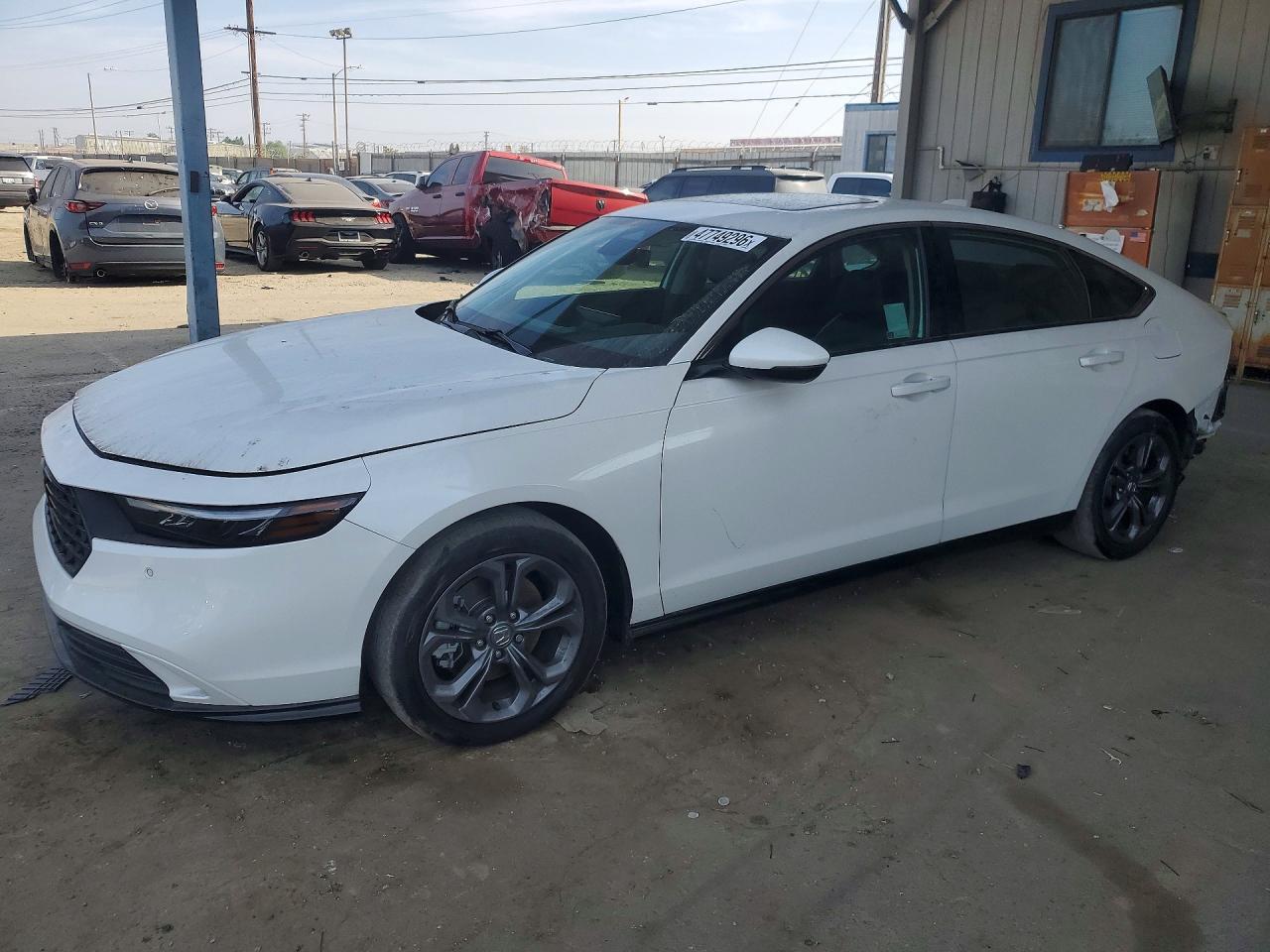 Salvage Honda Accord Image