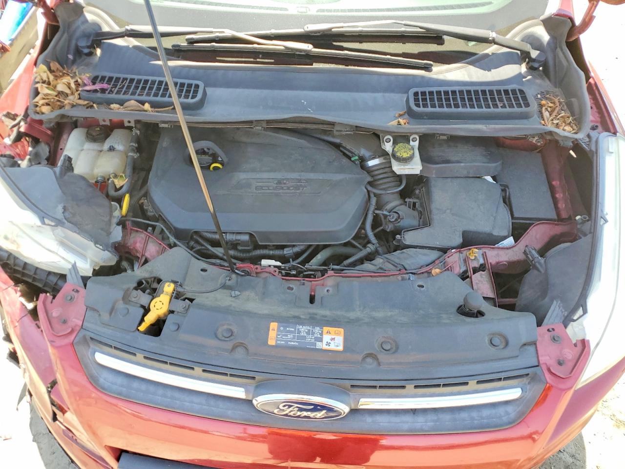 Ford Escape Se