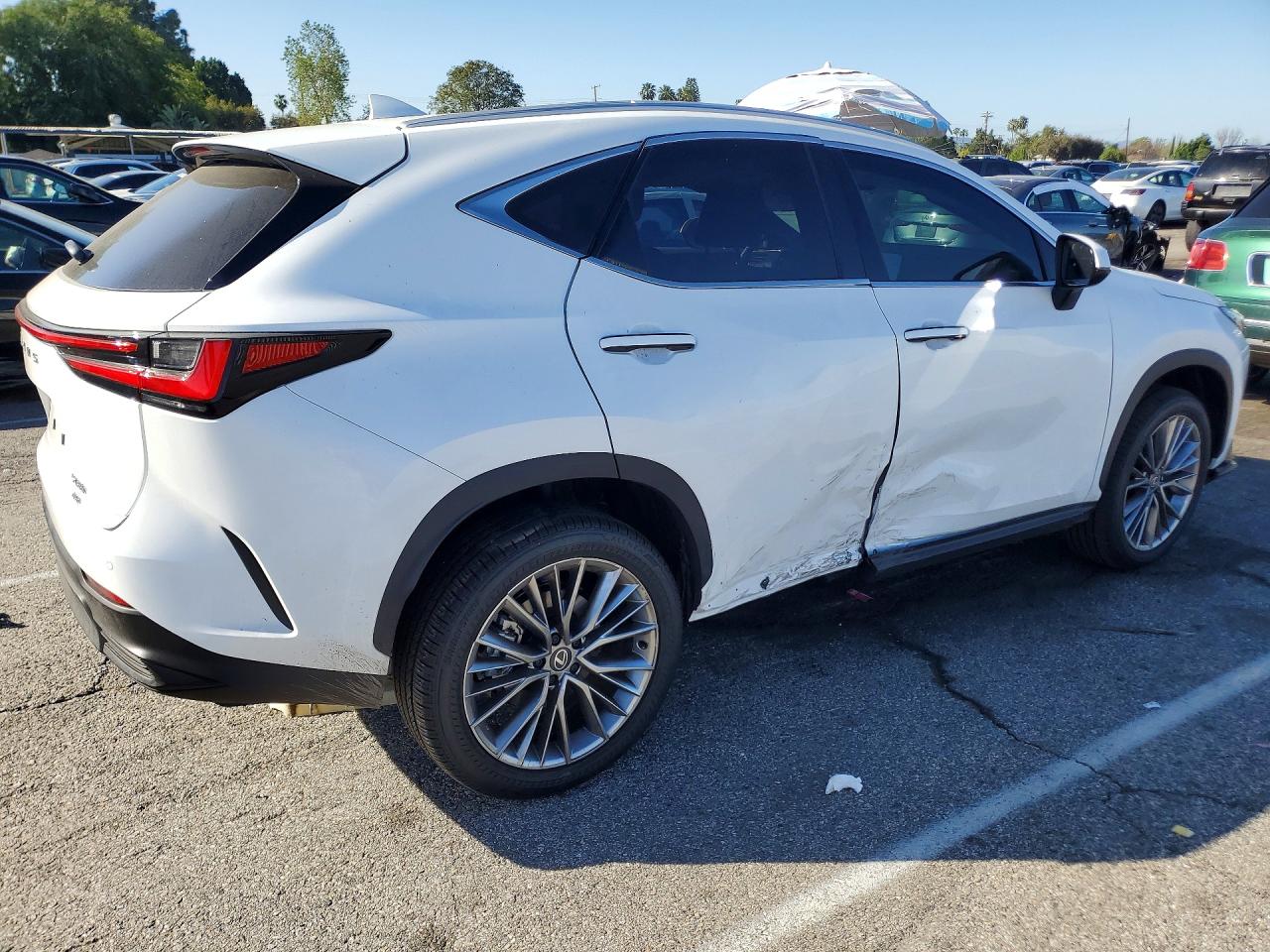 Lexus Other Premium