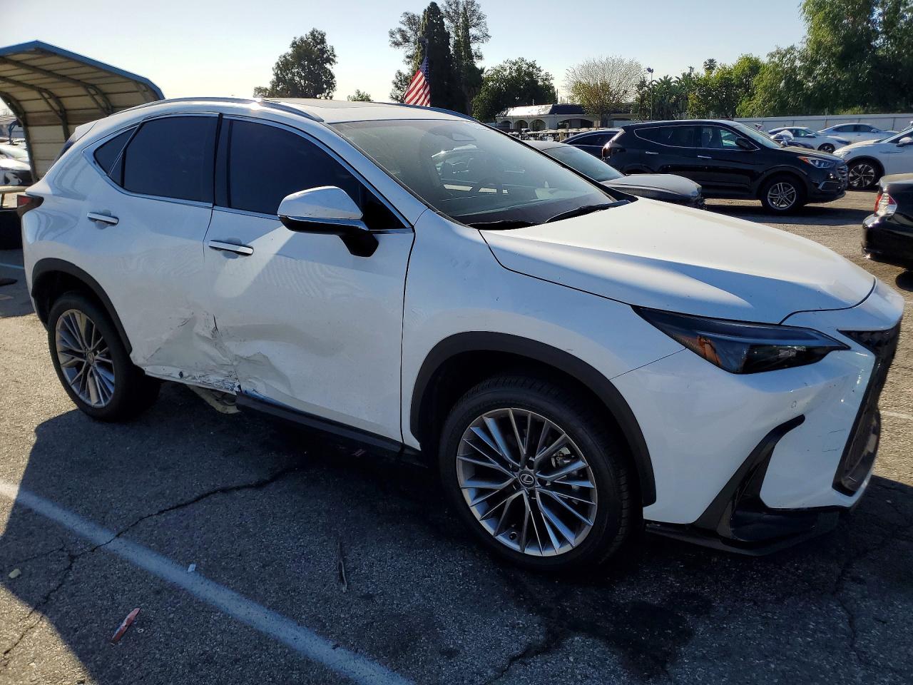 Lexus Other Premium
