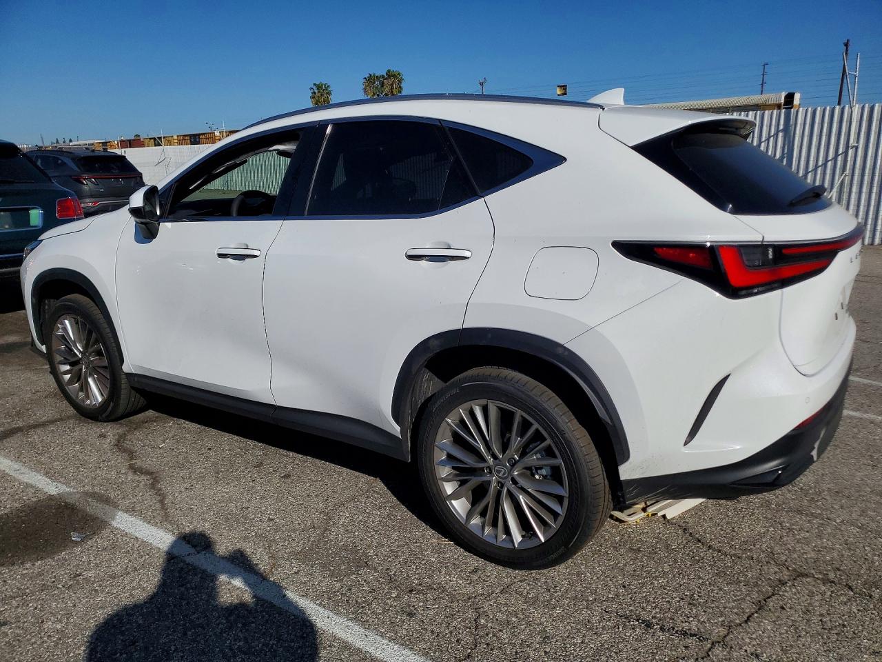 Lexus Other Premium