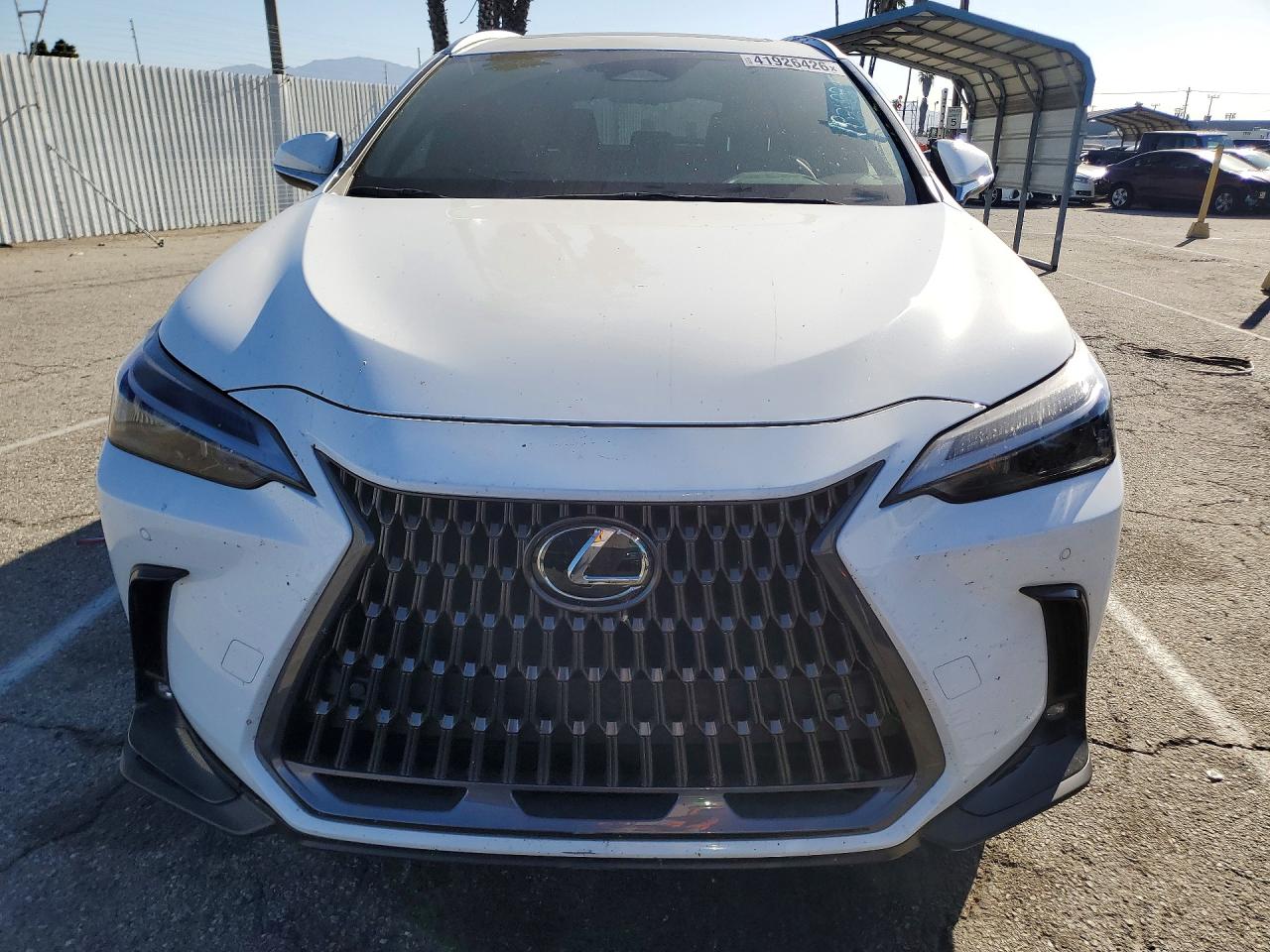 Lexus Other Premium