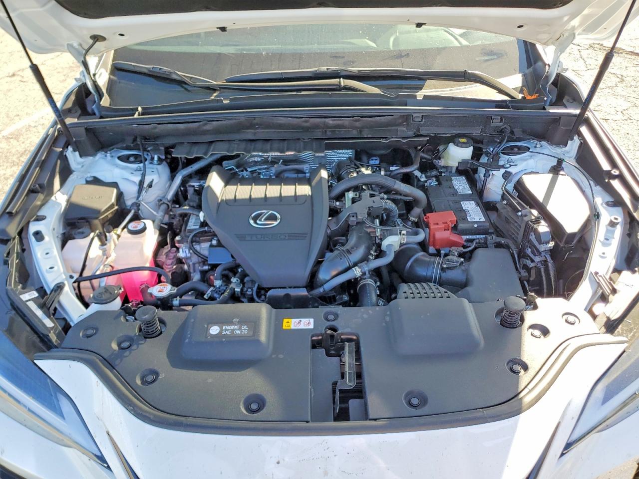 Lexus Other Premium