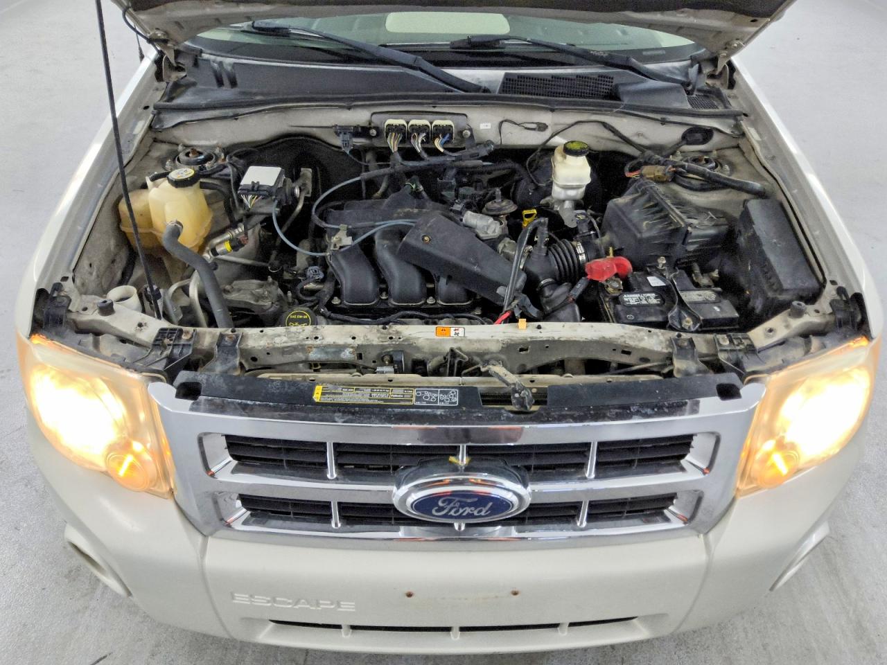 Ford Escape Xlt