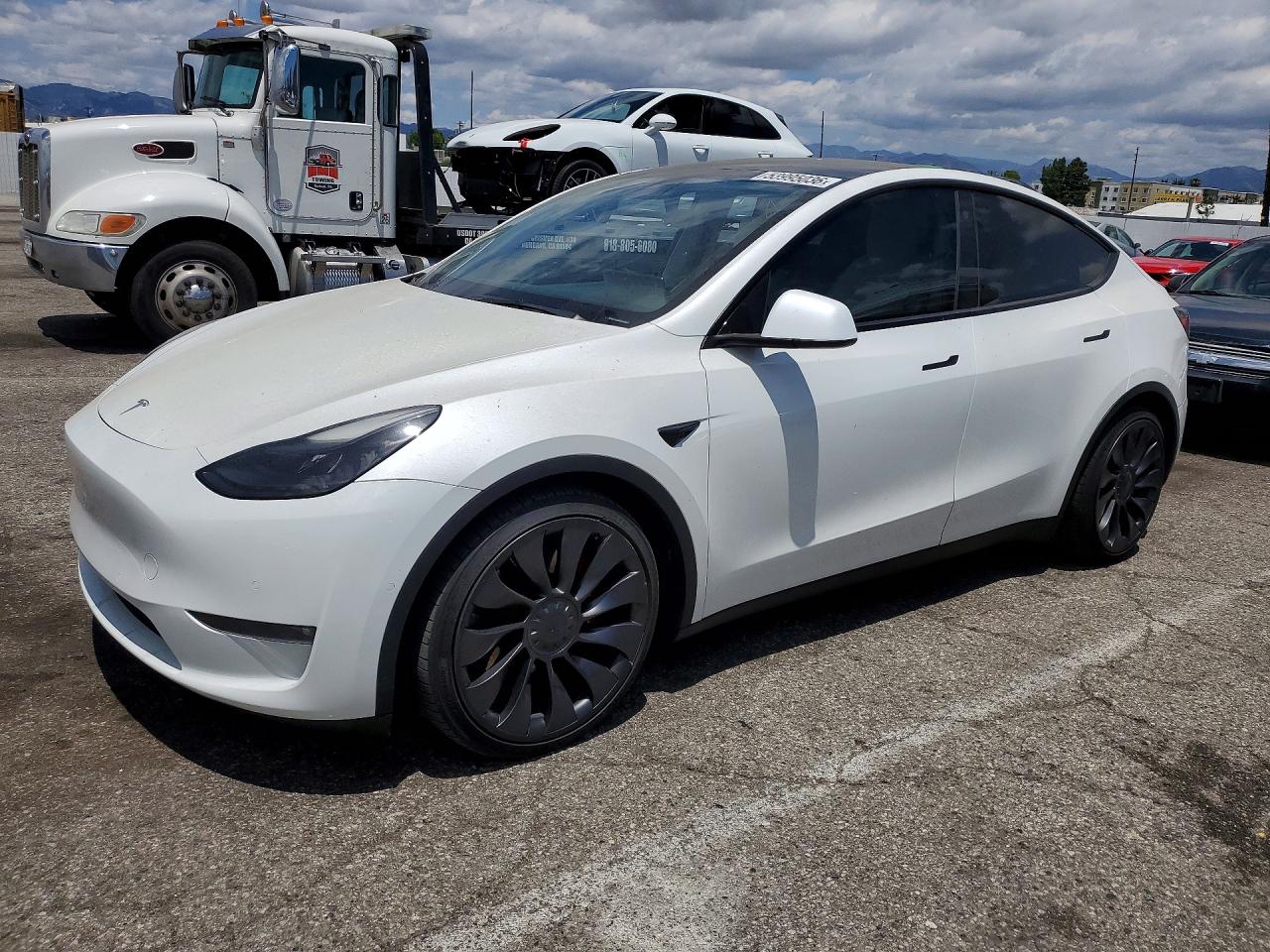 Salvage Tesla Model Y Image