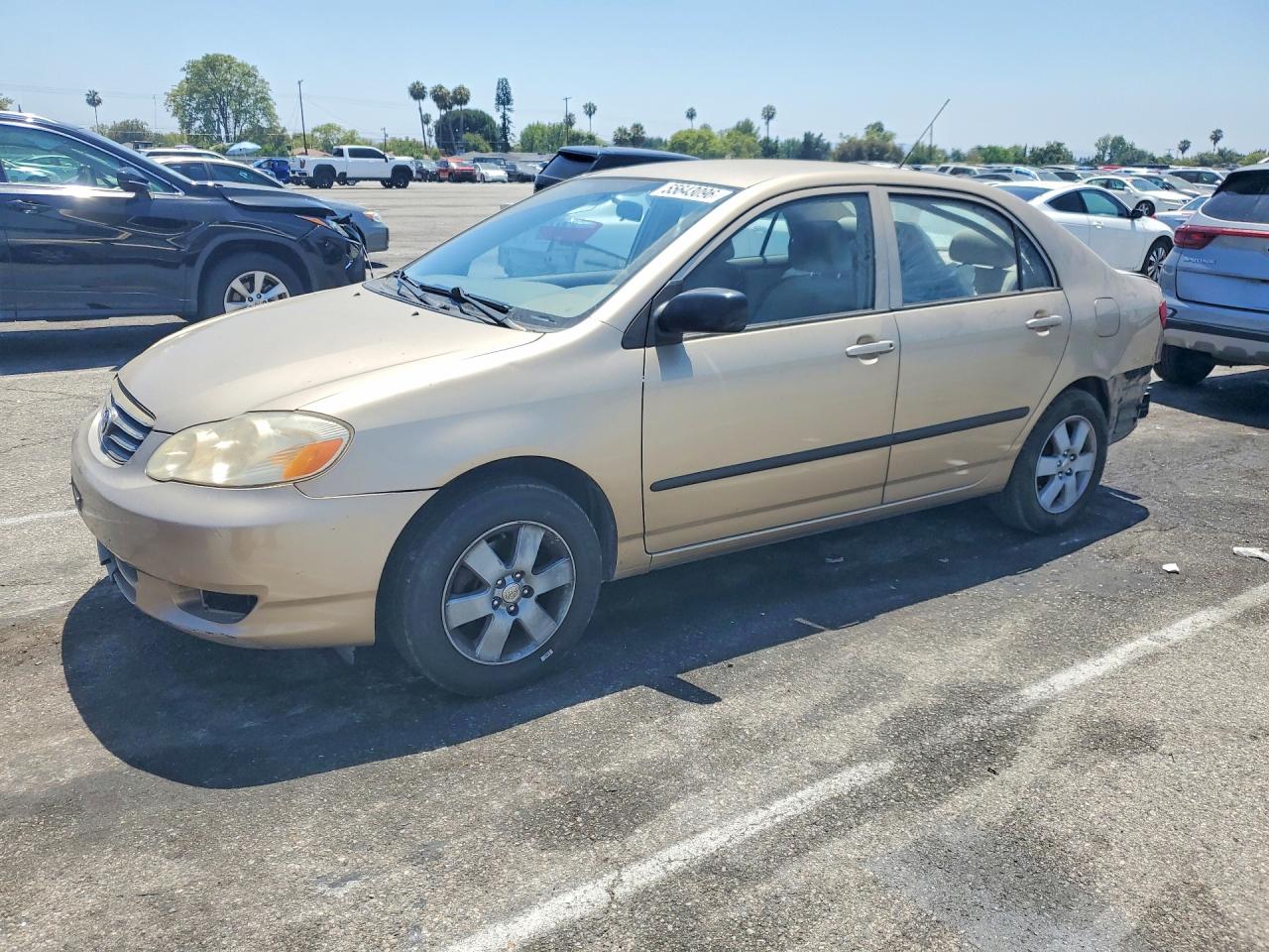 Salvage Toyota Corolla Image