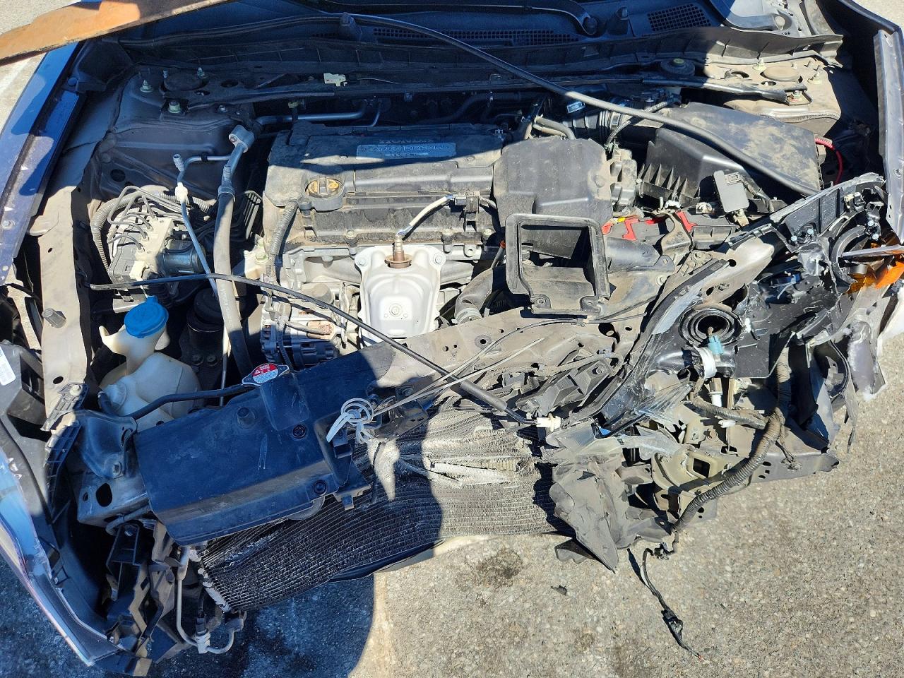 Honda Accord Exl