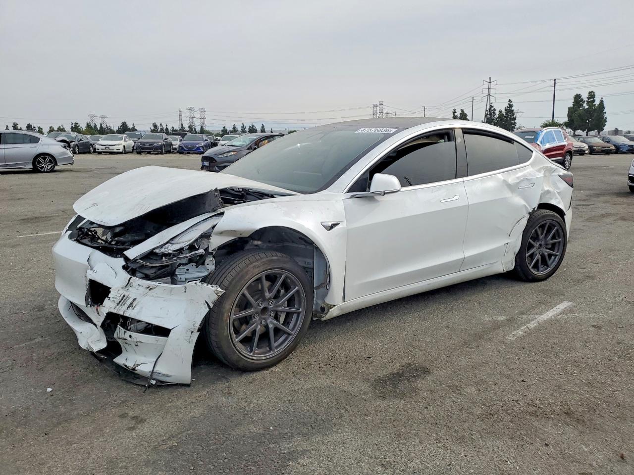 Salvage Tesla Model 3 Image