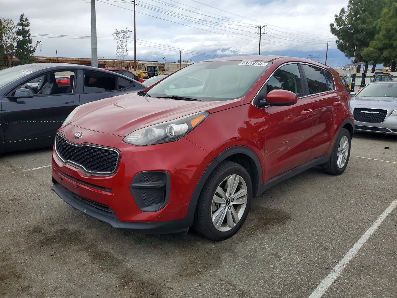 Salvage Kia Sportage Image