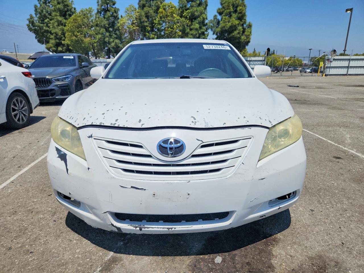 Toyota Camry Le V6