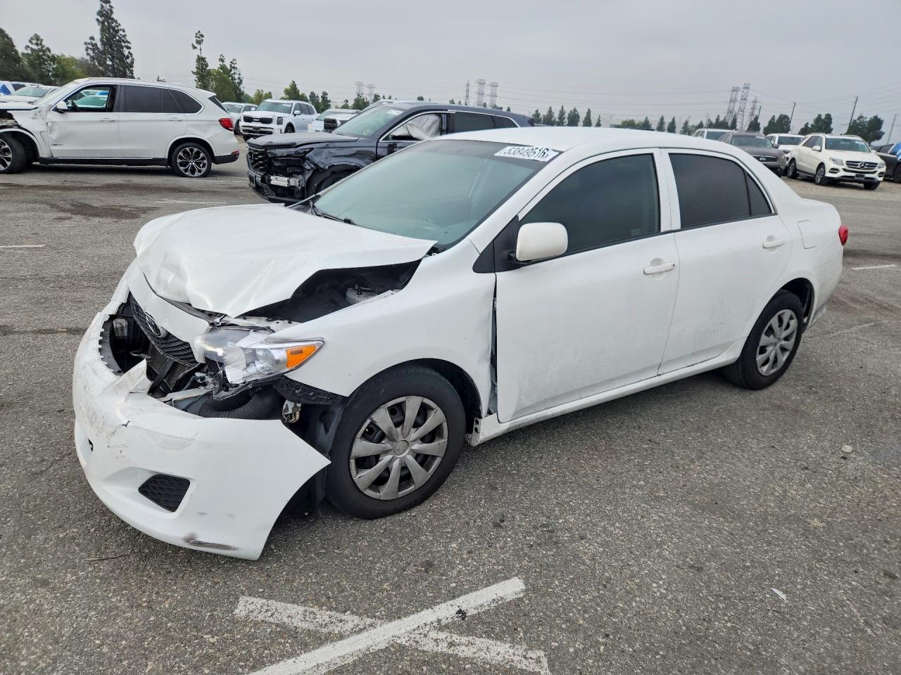 Salvage Toyota Corolla Image