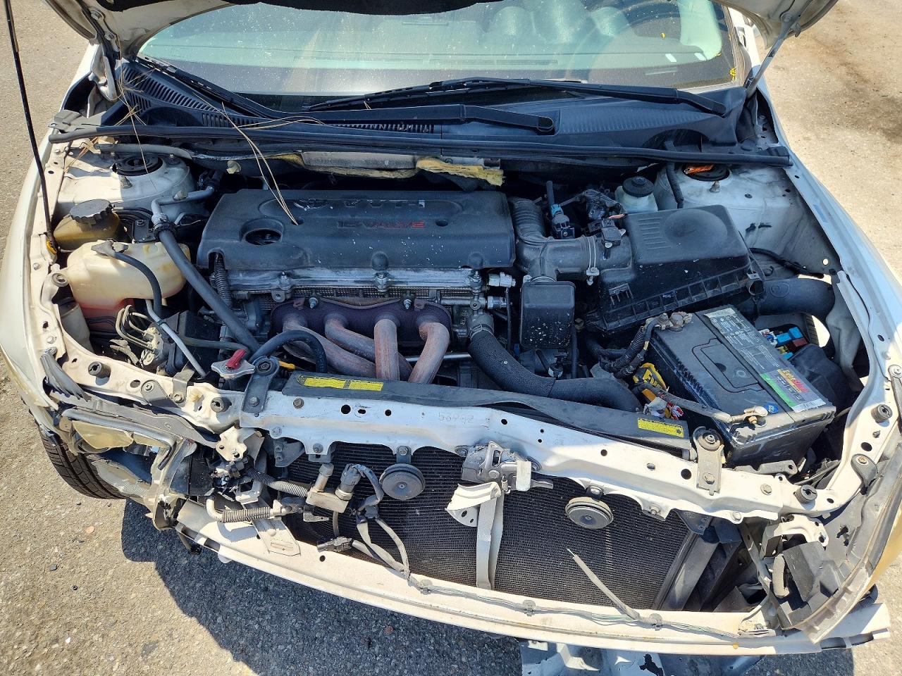 Scion TC Base