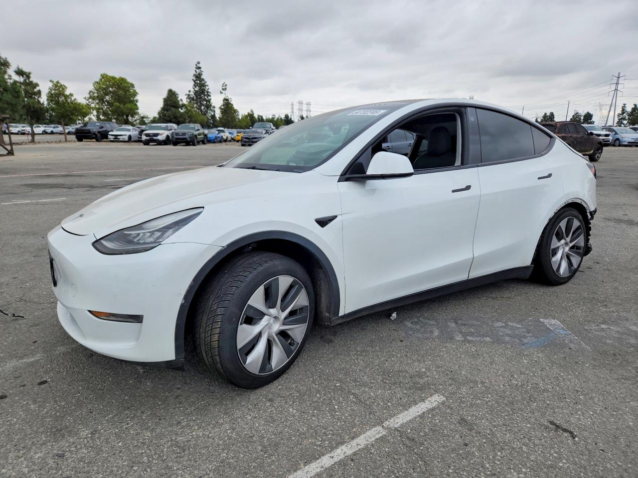 Salvage Tesla Model Y Image