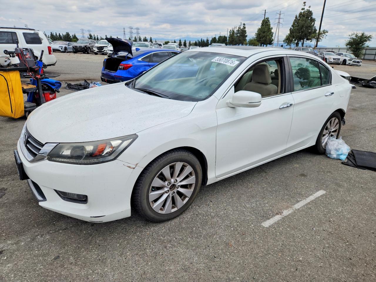 Salvage Honda Accord Image